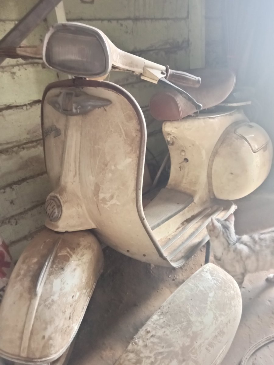 Cuma jadi pajangan 🥲