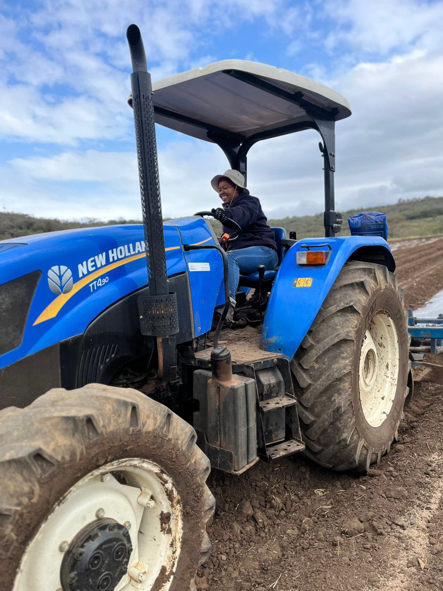 ModoP88's tweet photo. #NdunasOfKZN 👩🏾🌾🧑🏽🌾👨🏼🌾
Our planting of peppers 🫑 and tomatoes 🍅 is underway although a bit delayed. If you’re not organised believe me you’ll plant late and might miss an opportune time to enter the market.
#SheOO 💅🏽
#PlantingSeason 👩🏾🌾
#agribusiness 🌾 https://t.co/QeZ96UbMy7
