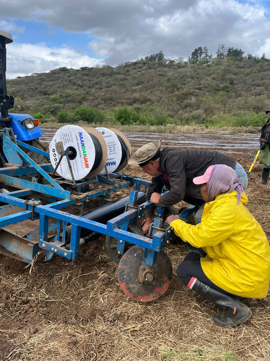 ModoP88's tweet photo. #NdunasOfKZN 👩🏾🌾🧑🏽🌾👨🏼🌾
Our planting of peppers 🫑 and tomatoes 🍅 is underway although a bit delayed. If you’re not organised believe me you’ll plant late and might miss an opportune time to enter the market.
#SheOO 💅🏽
#PlantingSeason 👩🏾🌾
#agribusiness 🌾 https://t.co/QeZ96UbMy7