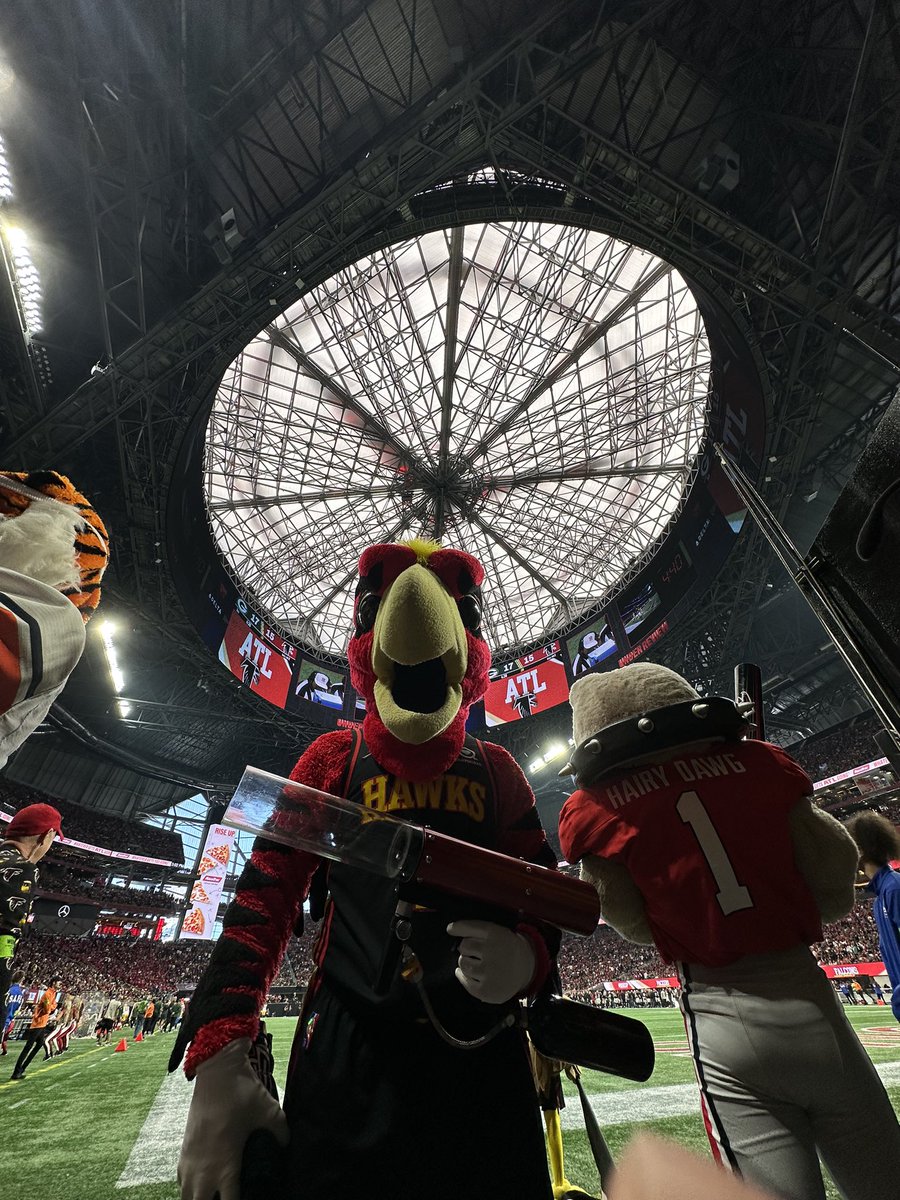 HarryTheHawk's tweet photo. Locked and loaded
#Harrythehawk #flaconsvspackers https://t.co/5ylIriRq2r