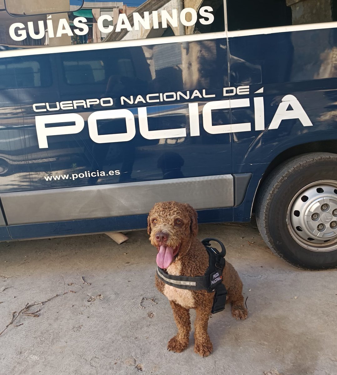 Policía Nacional tweet media
