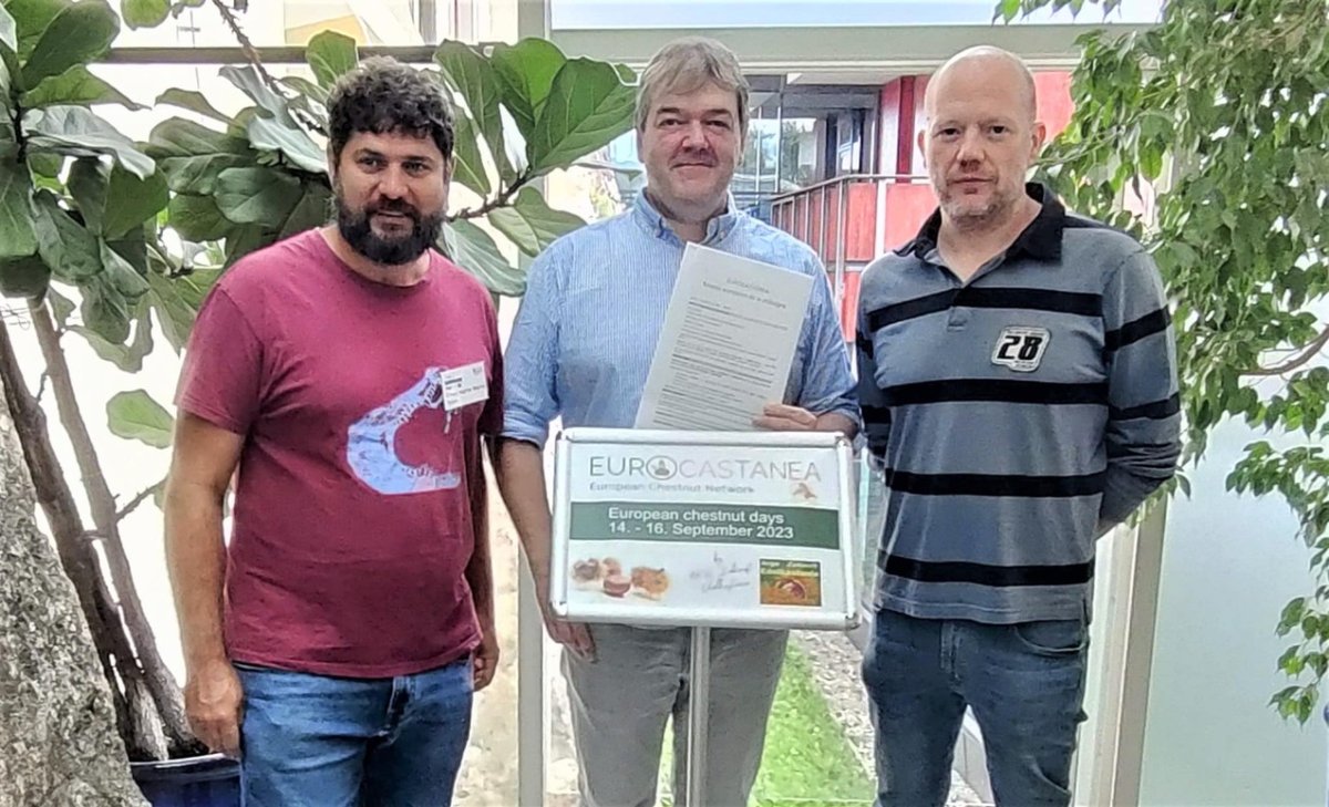 agrnegocios's tweet image. INTERNACIONAL 🌍 Nace la asociación Eurocastanea, clúster sectorial de la castaña en Europa. 🌰 

Más información ⬇️
agronegocios.es/agronegocios/i… 

#Agricultura #Castaña #Eurocastanea

@AREFLH