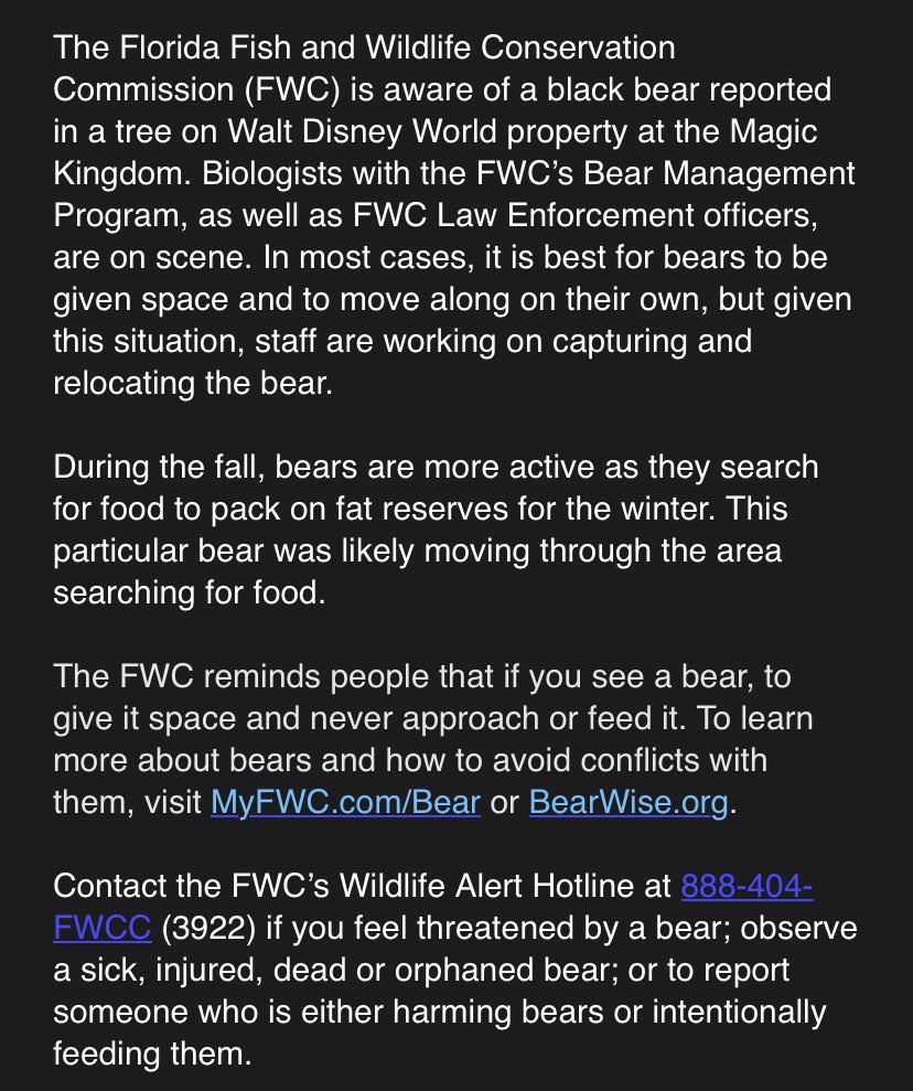 JUST IN: @MyFWC confirms reports of a Black bear in a tree at @WaltDisneyWorld’s Magic Kingdom. Biologists and FWC officers are on scene…parts of Magic Kingdom are temporarily closed ⤵️ @WESH