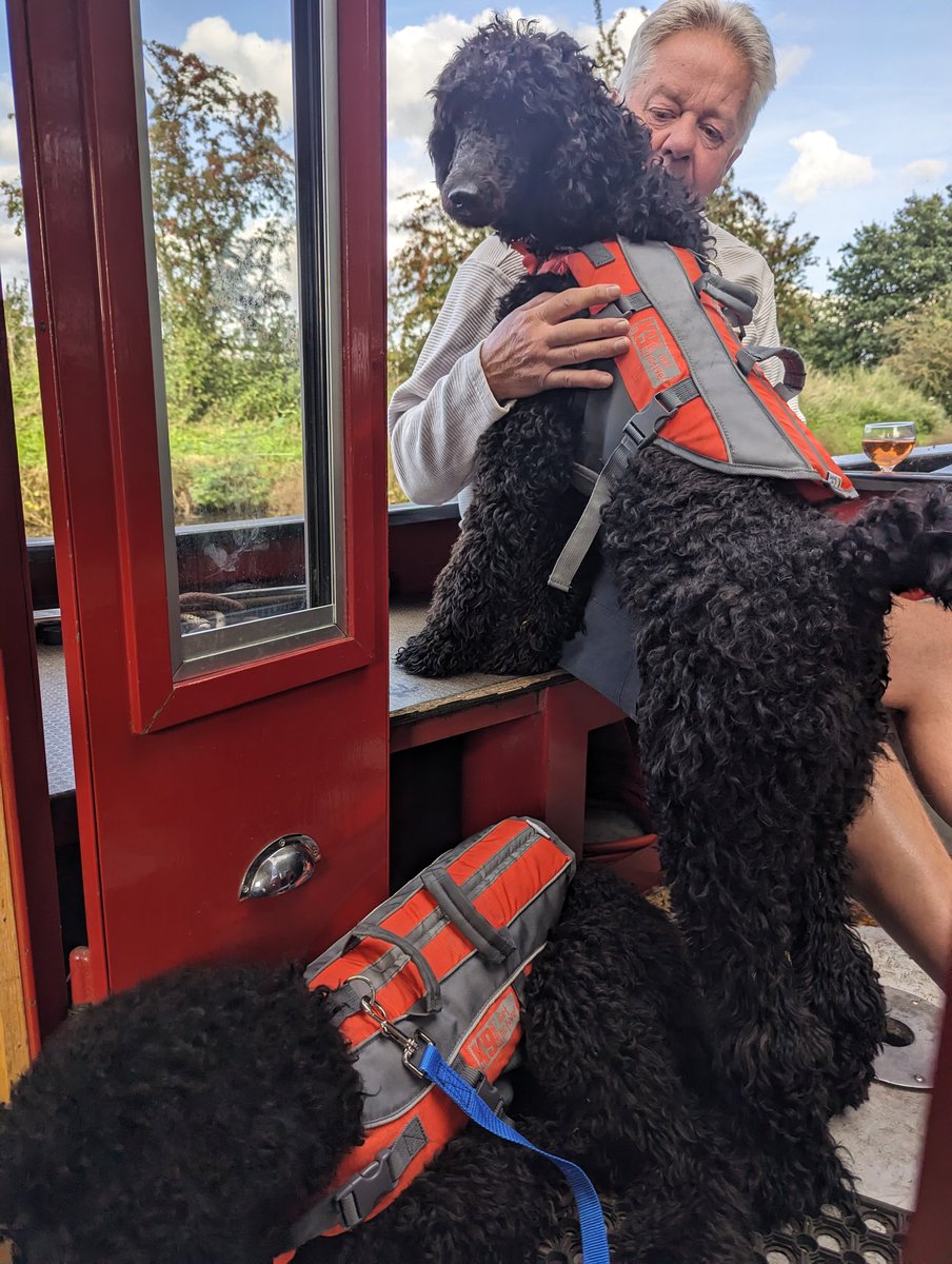 Fi_FAJ's tweet photo. Buoyancy vests were worth every penny for our canal holiday.  Daft poodles, nil; smart Mallard's, three.  We'd have struggled to haul them out without the grab handles! https://t.co/f9KeMizNTl