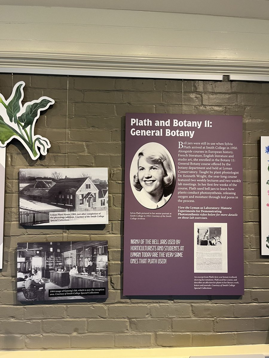 Congratulations, <a href="/colin_hoag/">Colin Hoag</a> on an amazing exhibition!!!! <a href="/archivalagents/">Smith College Special Collections</a> <a href="/smithcollege/">Smith College</a>