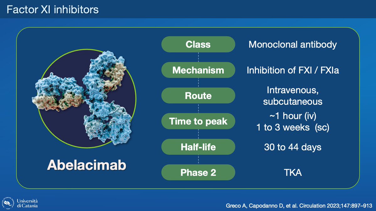 Breaking news! The AZALEA-TIMI 71 trial of the factor XI/XIa inhibitor abelacimab has been stopped for efficacy. Abelacimab lowered the bleeding endpoint compared with rivaroxaban in patients with atrial fibrillation. If similarly on stroke, this is potentially groundbreaking.