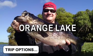 The silent sleeper in North #Florida is called "Orange Lake."
If you haven't tried, start planning today!

👉 bit.ly/45VRck9 

#orangelake #trophycatch #trophybass #gainesville #gainesvillefishing #bassfishing #bassfishinginflorida <a href="/GainesvilleSun/">GainesvilleSun</a> <a href="/mycbs4/">CBS4 Gainesville</a> <a href="/Gainesville/">Visit Gainesville, Alachua FL</a>
