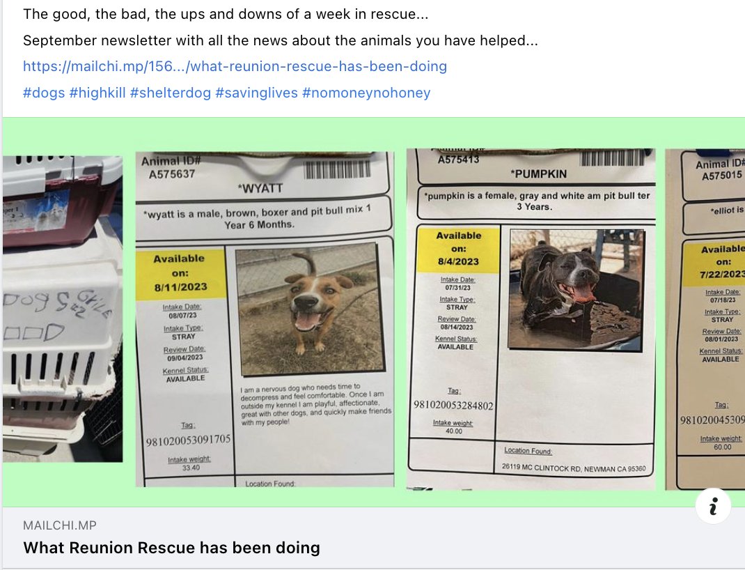 texasdicks's tweet image. Bad times good times in a week of rescue .. check out our newsletter:

mailchi.mp/1565a02f9f5f/w…

#dogs #highkill #killshelter #killsheltersurvivors #savinglives #nomoney