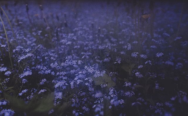 violet✧*｡ tweet media