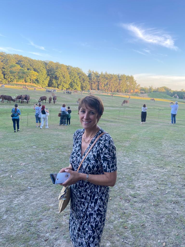 PRO DU BATIMENT tweet media