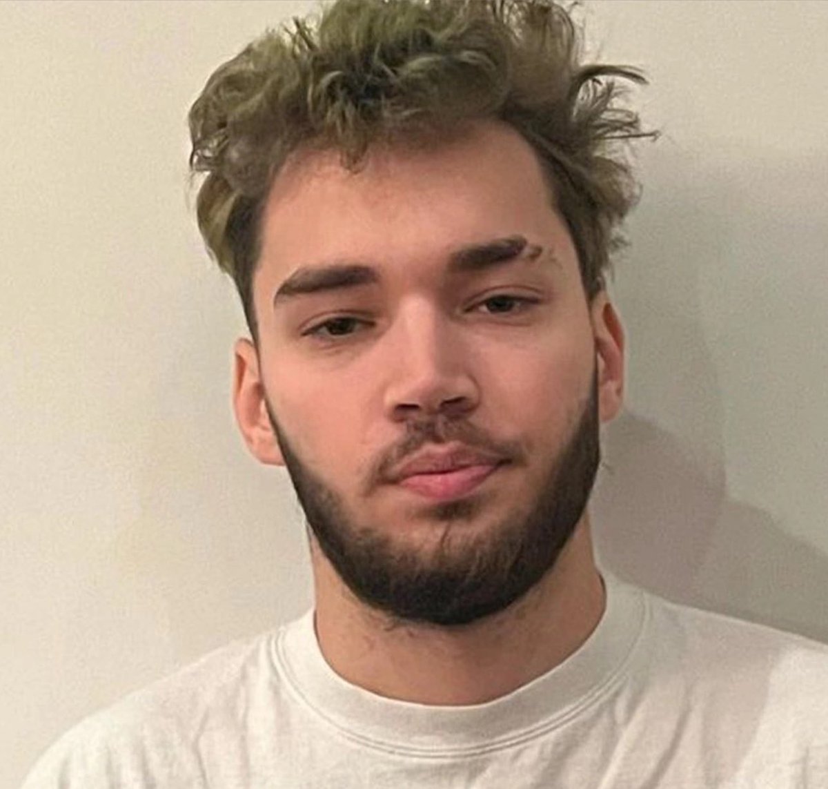 Dexerto tweet media