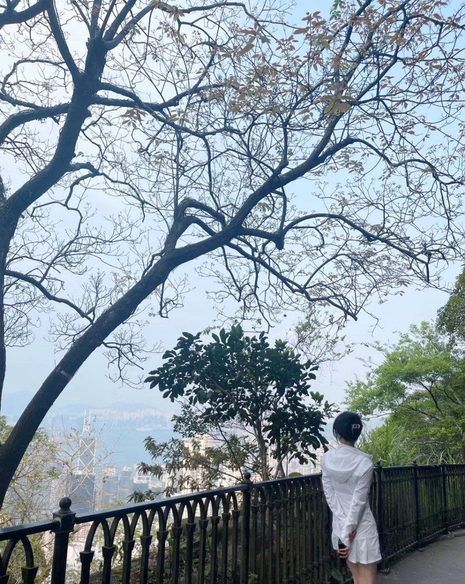 In the process of climbing, no one cares whether it is easy or difficult for you. People will only look at your last position, and either look down upon you or look up to you.