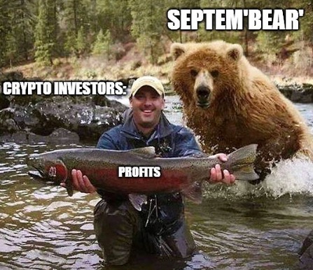 CryptoTraderPro tweet media