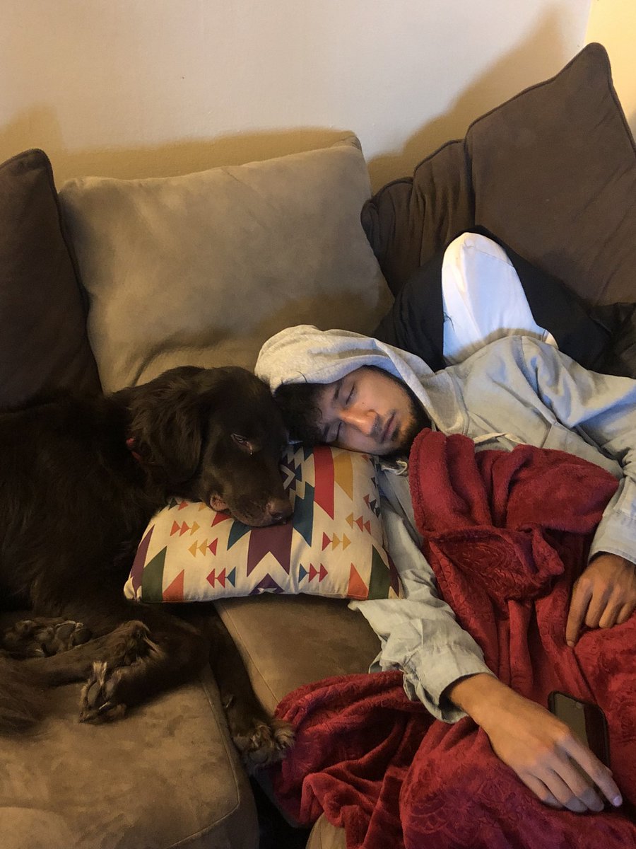 Dylightful tweet media