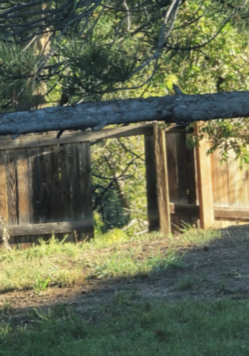 Having consistent fence issues. 

We keep repairing &amp; homeless keep destroying them.

Does anyone have any advice or words or wisdom here? Thx!