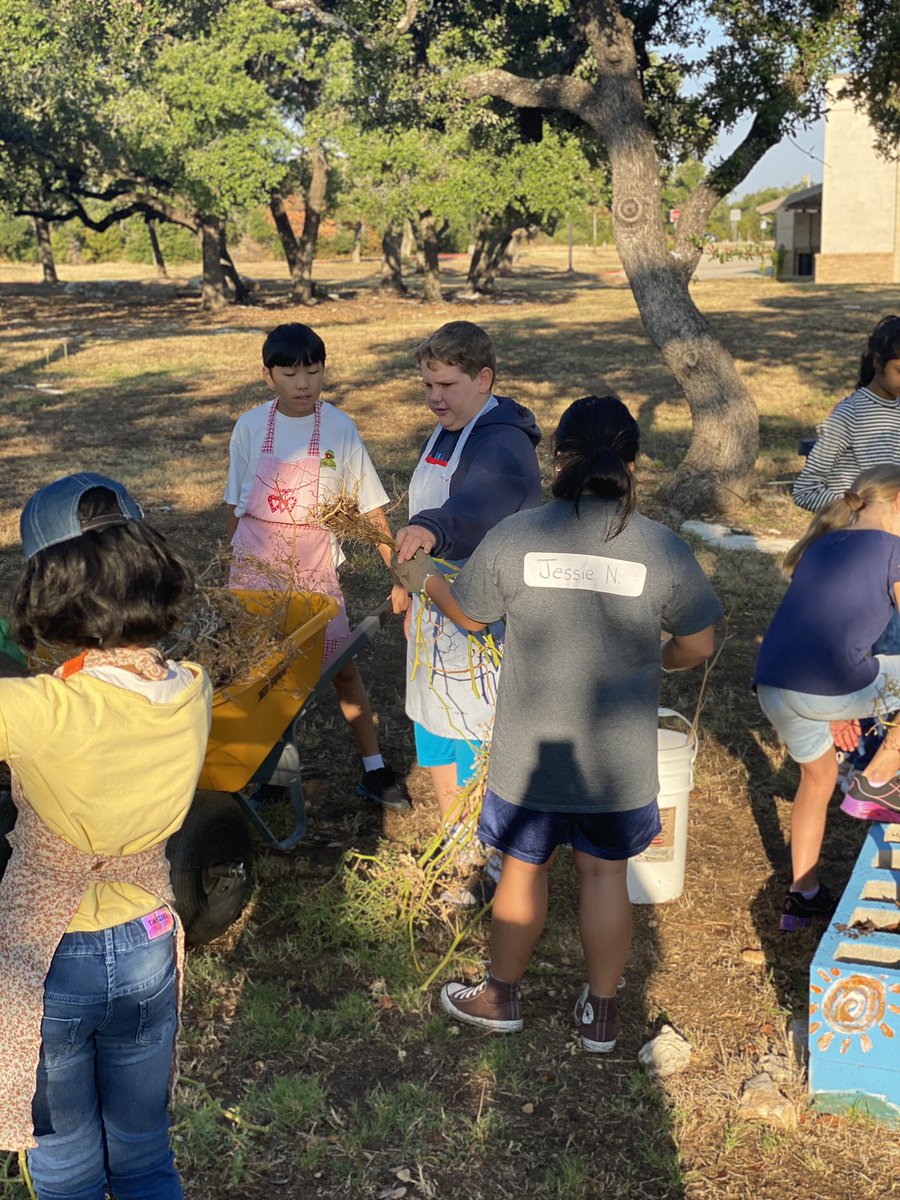 Bernadette Delagarza (@mrs_dlg) on Twitter photo We have kids in the garden! Took my kids out today to help prep for fall planting. <a href="/PearsonRanchMS/">Pearson Ranch MS</a> #SproUTing We have kids in the garden! Took my kids out today to help prep for fall planting. <a href="/PearsonRanchMS/">Pearson Ranch MS</a> #SproUTing