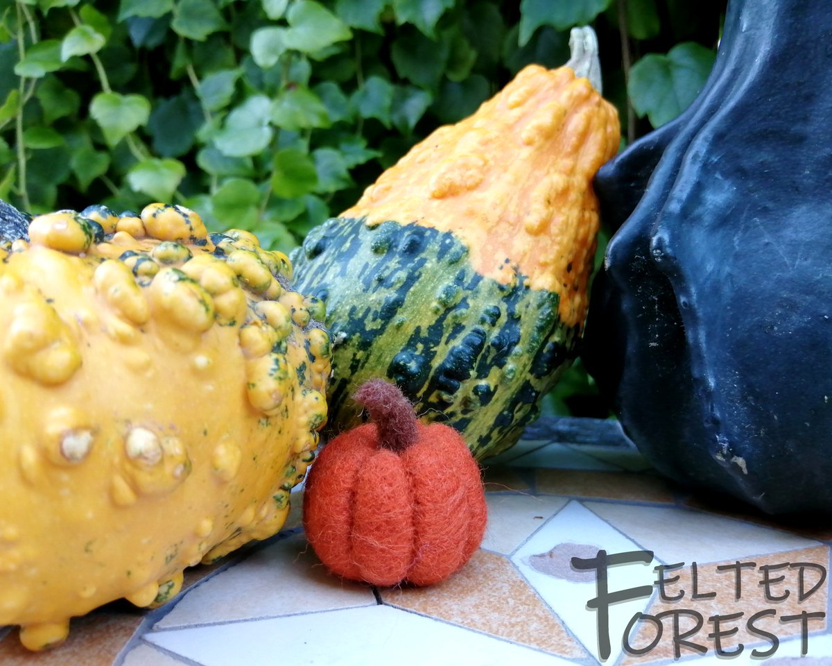 Felted_Forest's tweet image. Pumpkin🎃

#feltedforest #felting #feltingwool #feltingwoolcrafts #needlefelting #needlefeltinglover #felted #wool #handmade #handmadecraft #pumpkin #pumpkinseason #fall #autumn