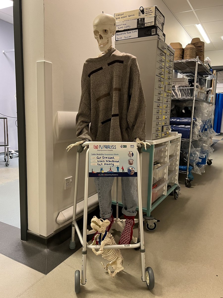 Falls Awareness Week in ED @ ARI. Stanley is ready to get up, get dressed and get moving - make sure you don’t trip over your pets though. #safermobilty #mobilitymatters #fit2sit #iCan @gramacutephysio @NHSGrampian @irvine_lyn @aberdeenED