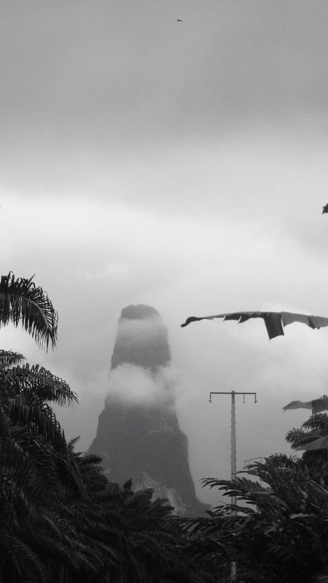 lipeng_lf's tweet photo. Black and White https://t.co/PRYyANVIY5
