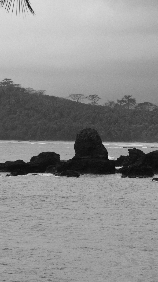 lipeng_lf's tweet photo. Black and White https://t.co/PRYyANVIY5