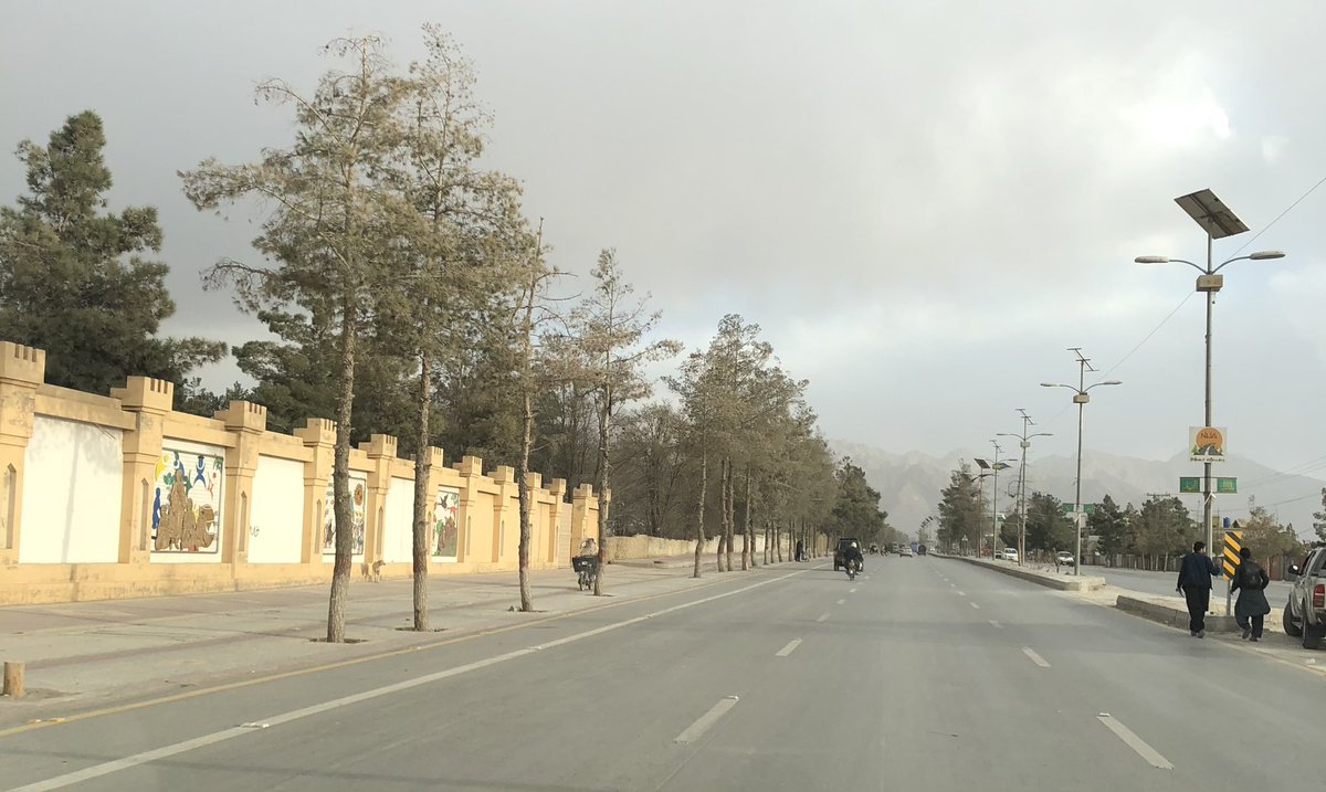 Great job @hamzashafqaat 👏👏 1 suggestion: there r 100s of pine trees 🌲 on curbside at airport. They’re decades old but nearly all r dying because their basin is covered by asphalt & tuff tiles with no way for water to reach the tree. Pl help rescuing these precious trees.