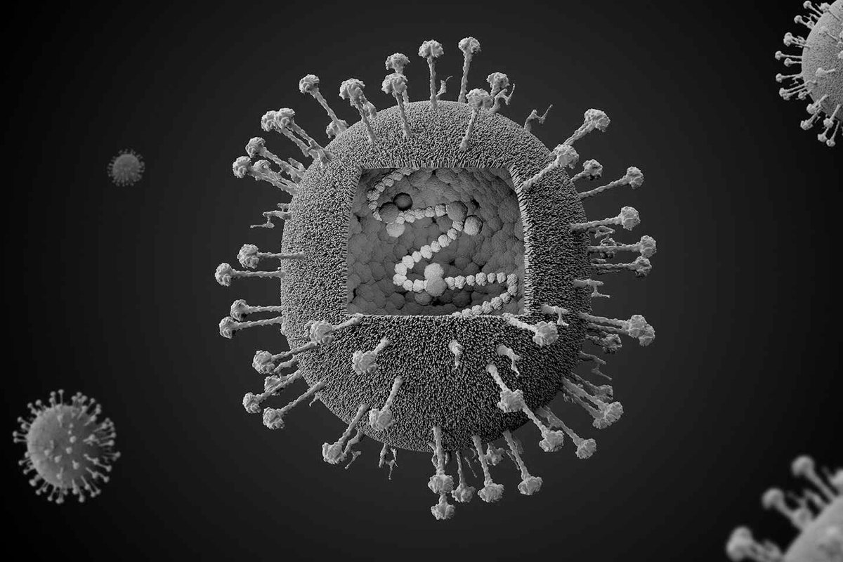 El virus Nipah, otro virus RNA con potencial zoonótico, con los 🦇 como reservorio natural. Su genoma tiene ~18k pb (<SarsCov2), y codifica 6 proteínas estructurales, incluyendo la prot de fusión y la glicoproteína d unión (bien conocidas por su papel en la infección e inmunidad)
