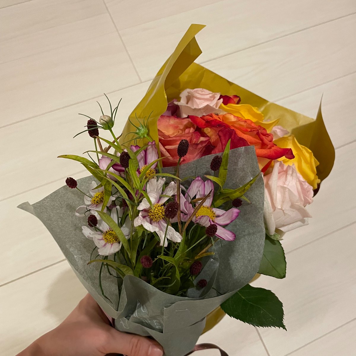 aoooidance's tweet photo. 毎日来てくださるお客様、メッセージ、お手紙、プレゼント、全部ちゃんと受け取っています💐
踊り子卒業後の自分の人生を投げ出しそうになるくらい、膨大な力をもらっています！
大好きなステージ上で、服を脱げることがとっても幸せです✨
今日もありがとうございました(❁ᴗ͈ˬᴗ͈) https://t.co/SLtJawEV6W