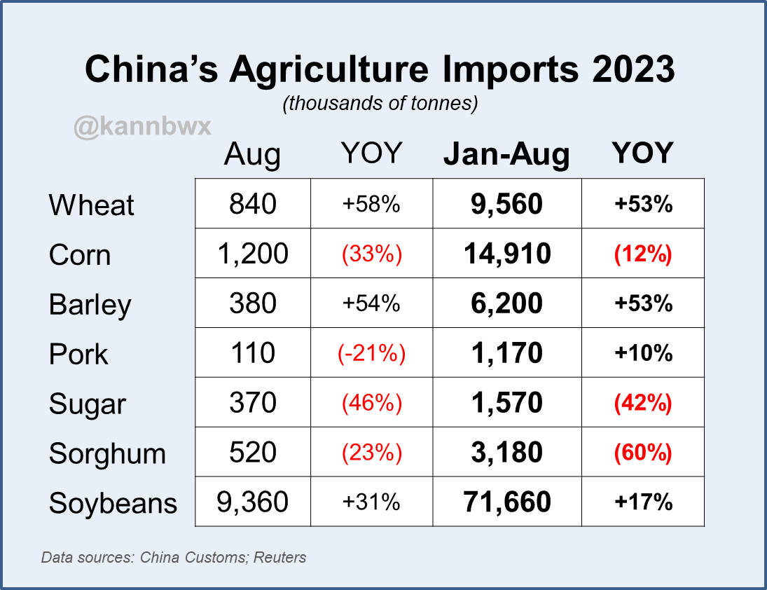 🇨🇳#China's imports of #soybeans, #wheat, #barley and #pork were greater than last year through the first 8 months of 2023. #Corn is down 12%, though the volume is still significantly larger than pre-2020 levels. YTD soy imports are record high.