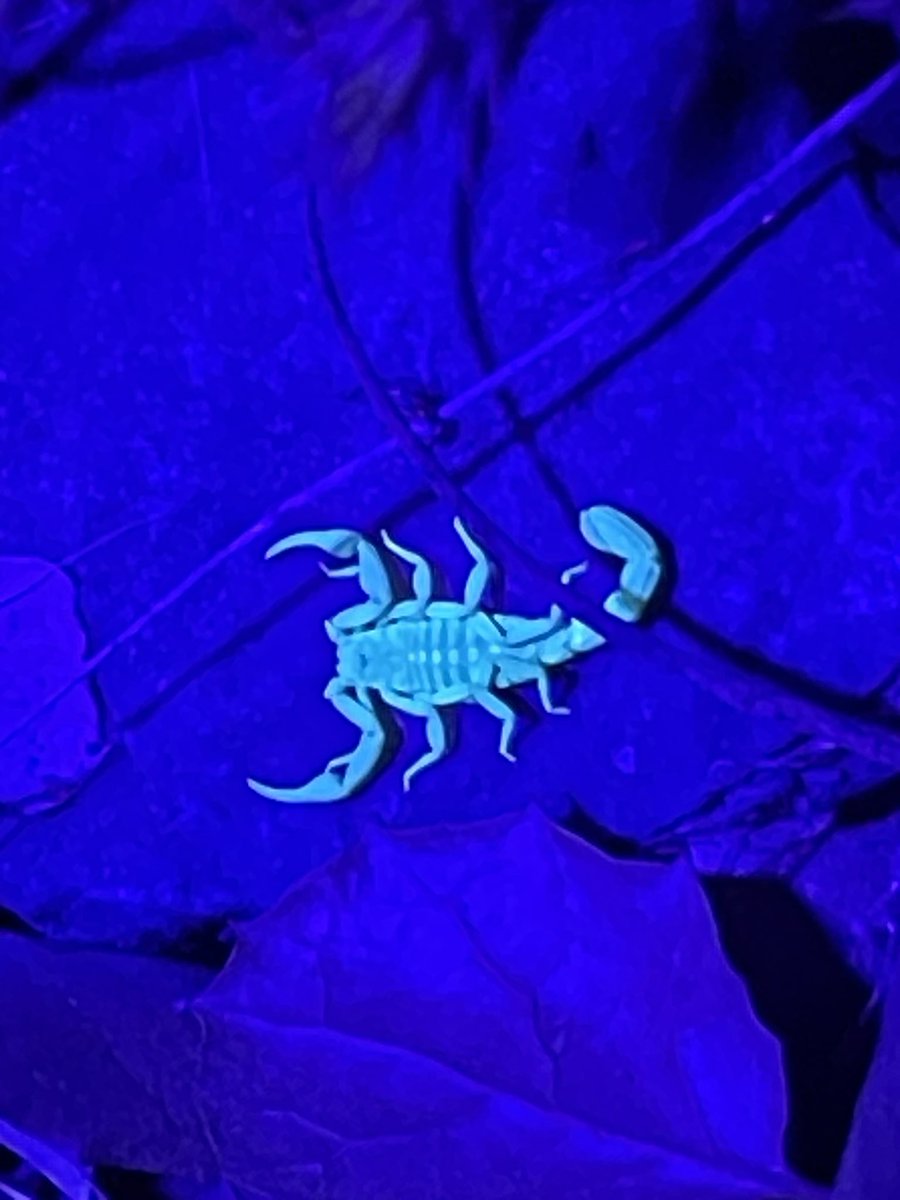 Wyatt Clark tweet media