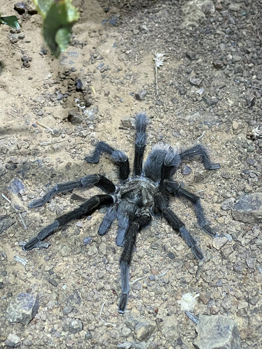 Wyatt Clark tweet media