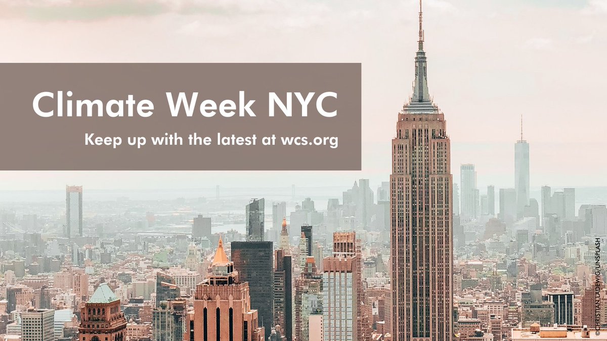 TheWCS's tweet image. Protecting nature is key to addressing the climate, biodiversity, and health crises. 🌳 

Keep up with the latest news from #ClimateWeek2023 at wcs.org/climate-week-2…