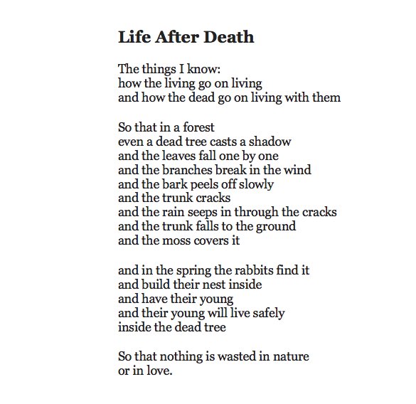 wandering the wild tweet media