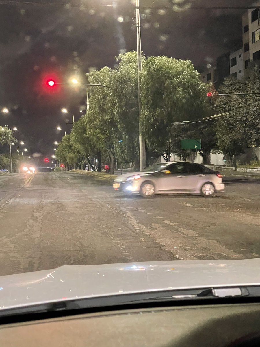 pato_bedoya's tweet photo. @MunicipioQuito @pabelml por favor su ayuda en la Av 10 de agosto,  con los árboles tan frondosos en lagunas partes ya no se ven ni los semáforos https://t.co/JZ9kKhMfTy
