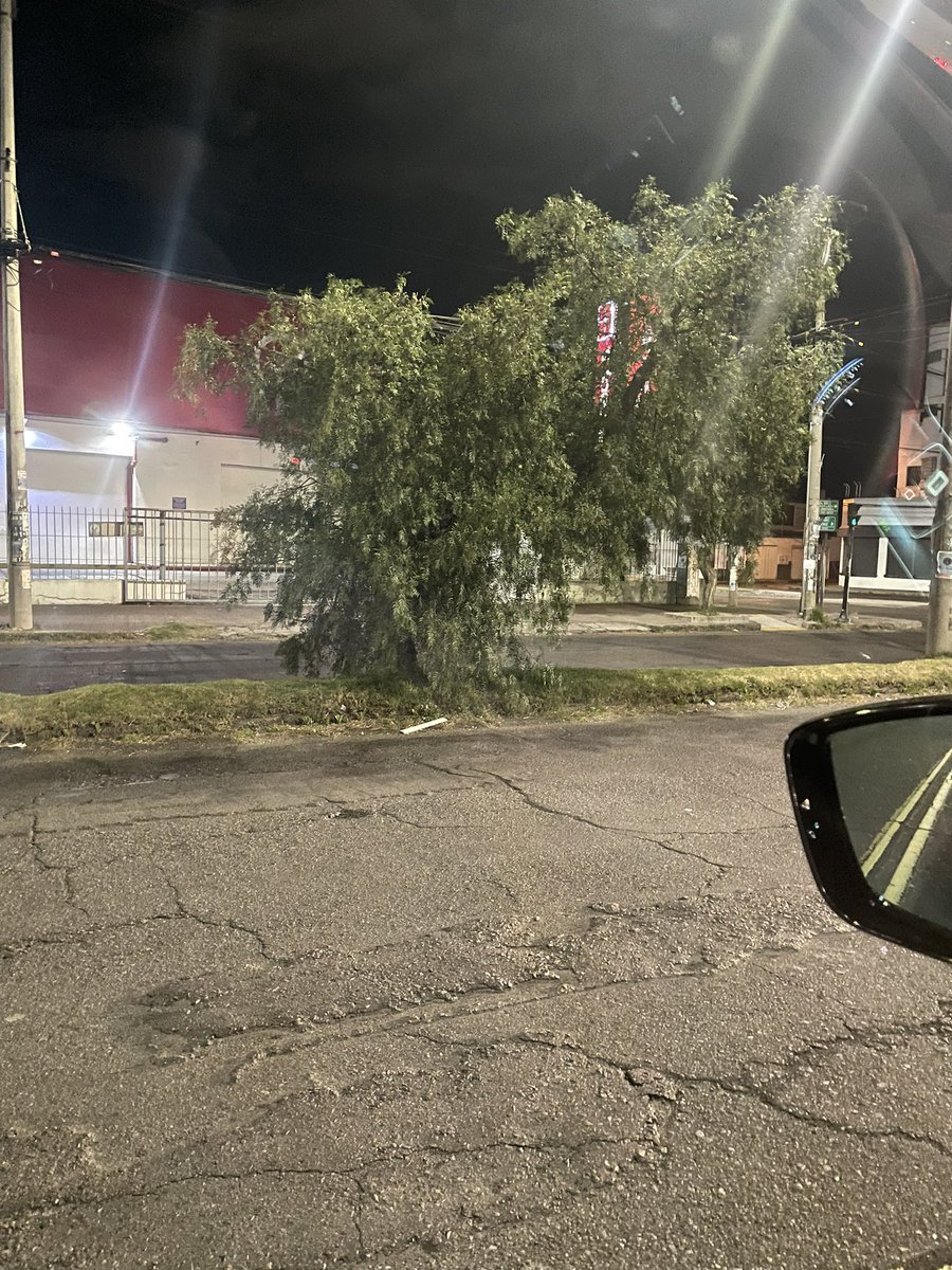 pato_bedoya's tweet photo. @MunicipioQuito @pabelml por favor su ayuda en la Av 10 de agosto,  con los árboles tan frondosos en lagunas partes ya no se ven ni los semáforos https://t.co/JZ9kKhMfTy