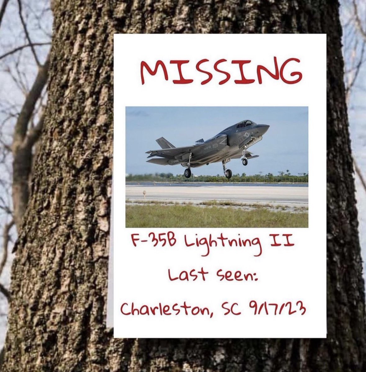 morgothfromhell's tweet image. Have you see me ???? 

#F35 #F35B #F35lightning