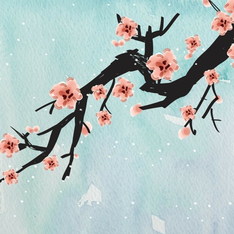 無料の自動車保険の詳細については、メッセージを送信してください。