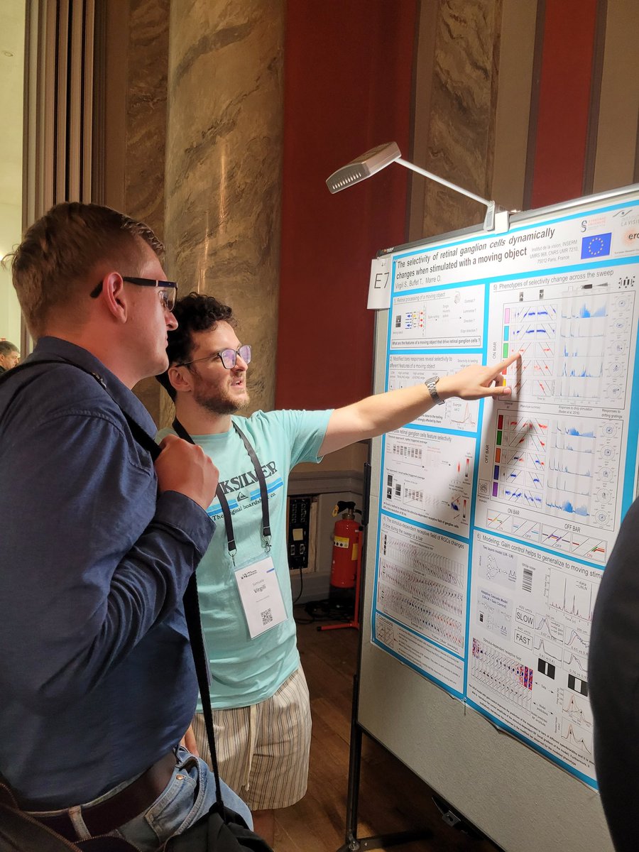 Our #ESR Samuele Virgili is presenting his poster at #ERM2023. Meet him at E7 and discover how the selectivity of motor ganglion cells dynamically changes when stimulated with a moving object.