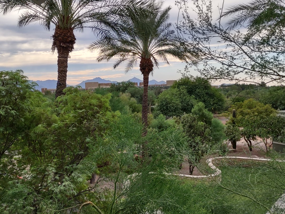 Sarah_Hobday's tweet photo. Amazing time at #DRJFall last week in Phoenix. @drjournal always puts on a great conference. I enjoyed the great sessions and networking. Lots of new ideas to bring back to work. I made sure to make time for some lounging at the pool after the last session before leaving. https://t.co/yBrBYSR5bu