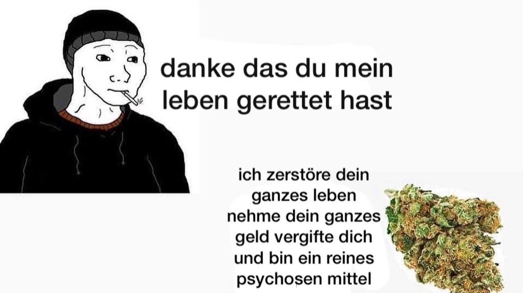 herr knax (satire) tweet media