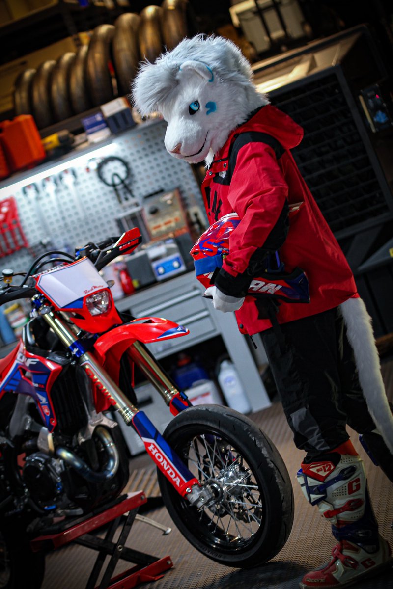 HONDA CRF450 RX SM