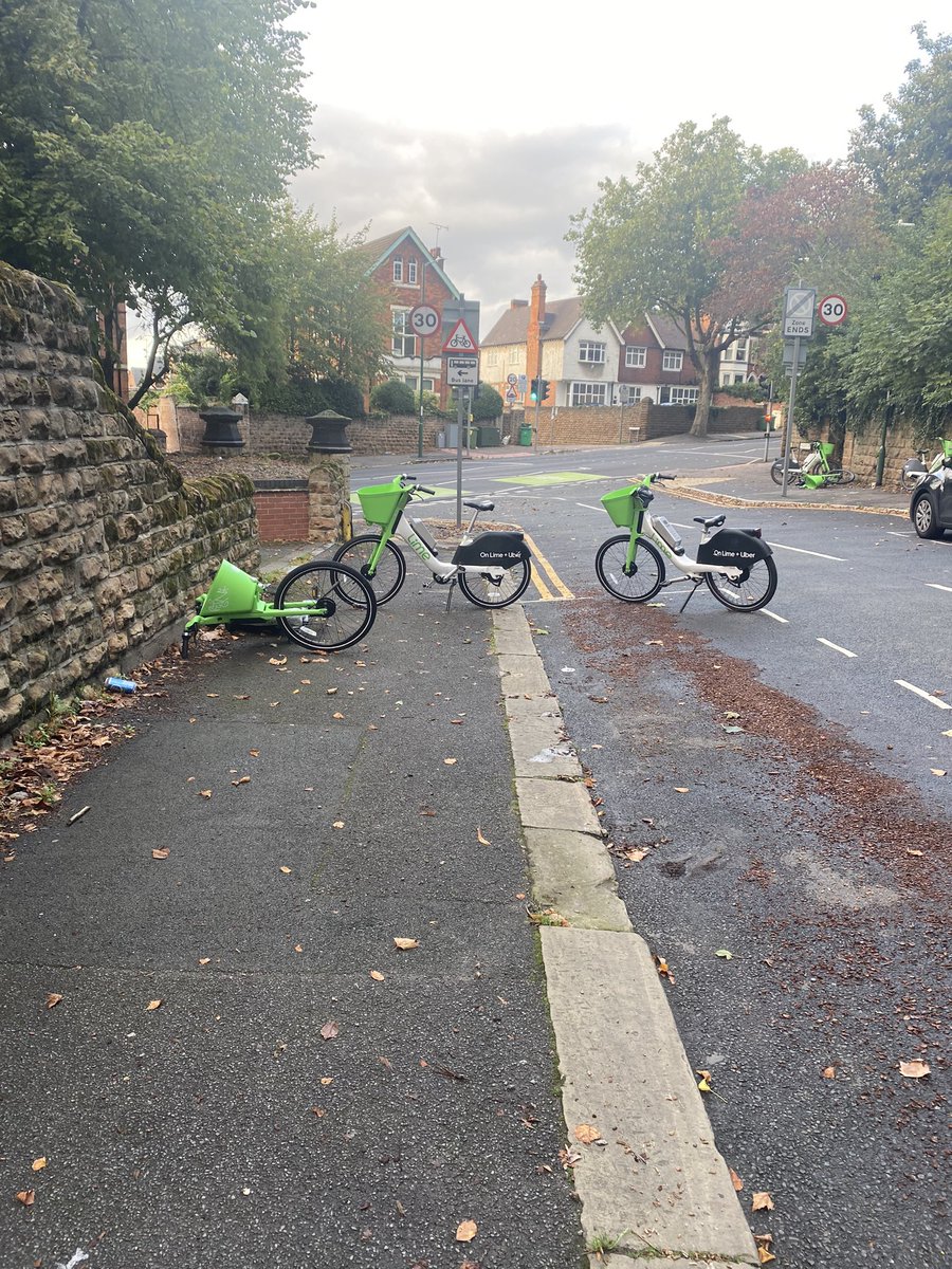 Lenton DNRA 💙 tweet media