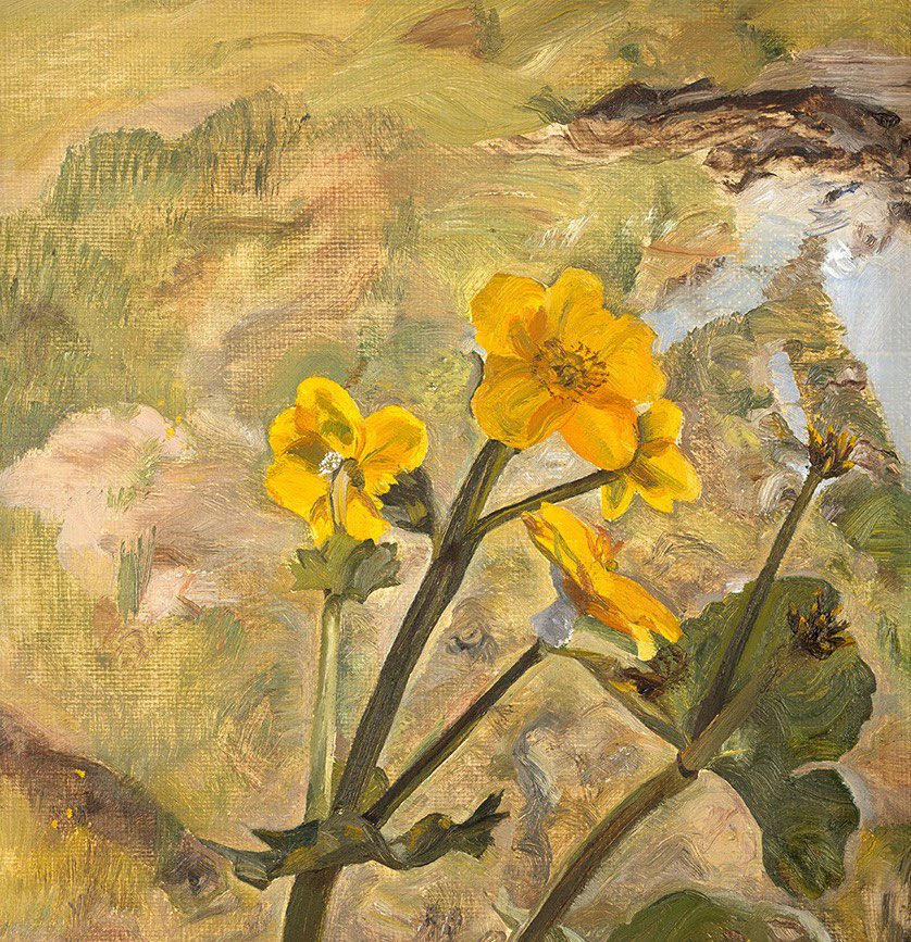 ´Oh, lead me onward to the loneliest shade,
The dearest place that quiet ever made, Where kingcups grow most beauteous to behold, And shut up green and open into gold.´ John Clare