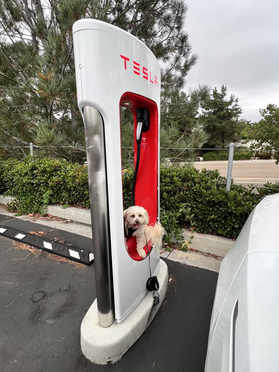 Supercharging my Puppy and Model 3 !
#tesla #teslasupercharger