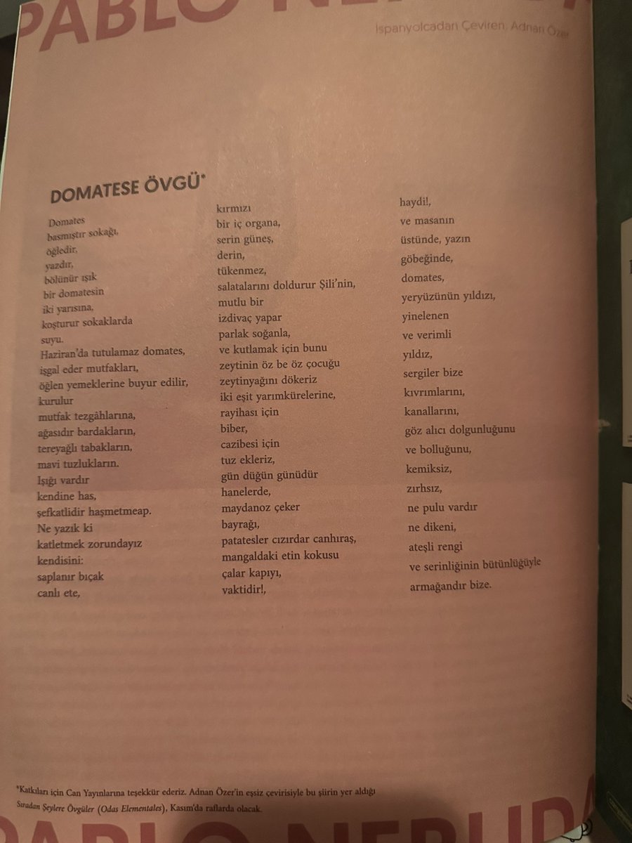 Kışlık domates hazırlayınca benim tripler