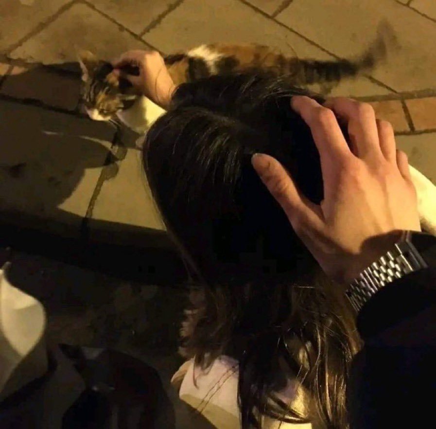 prttyfaces's tweet image. no comment.