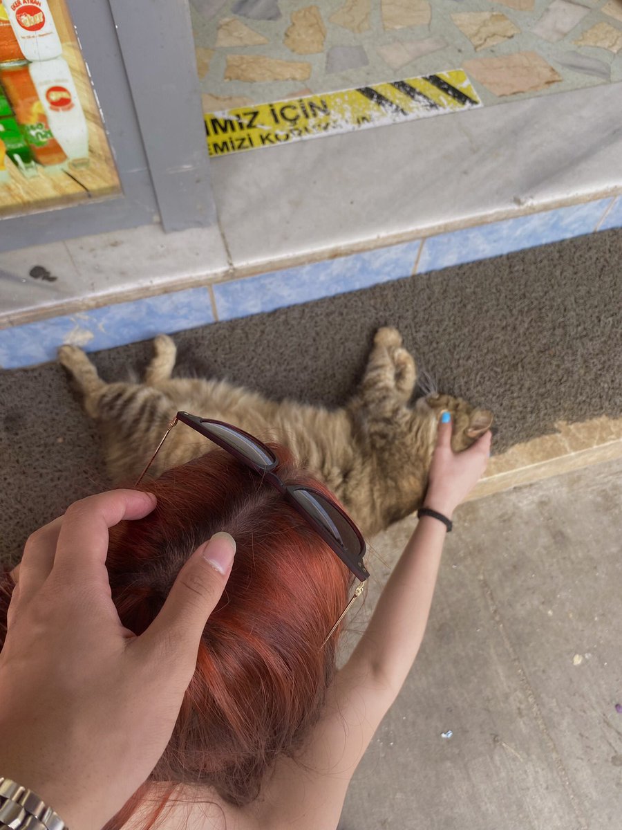 prttyfaces's tweet image. no comment.