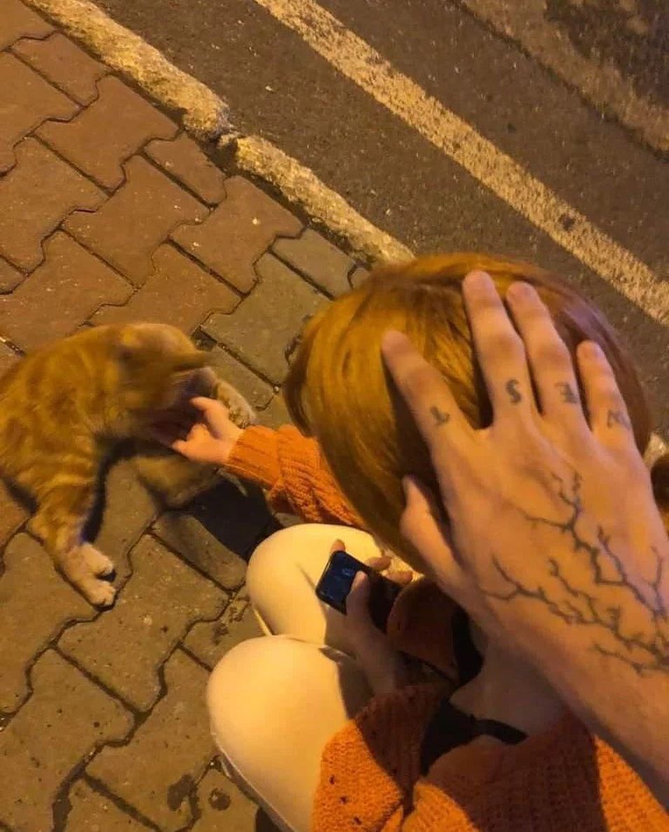 prttyfaces's tweet image. no comment.