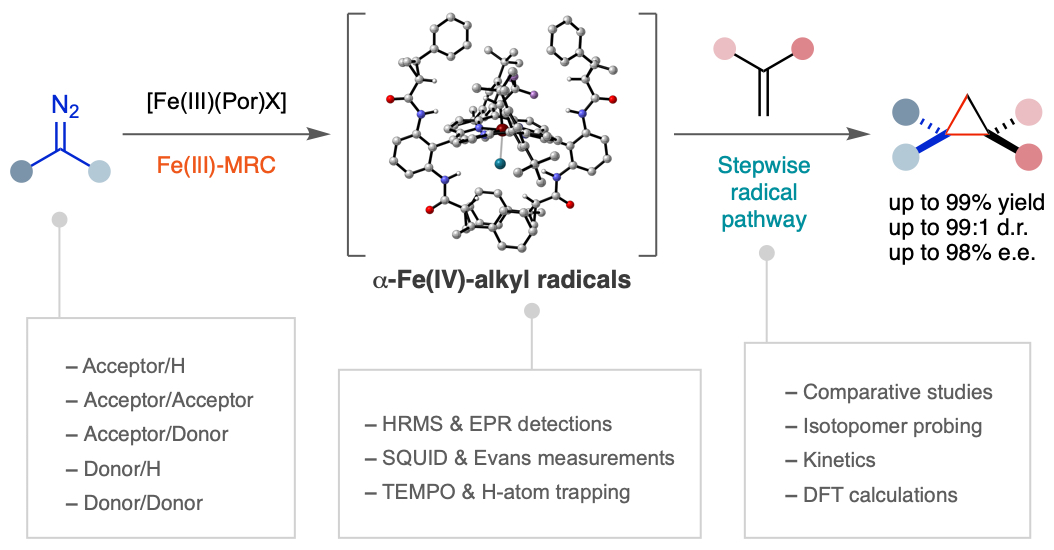 Peter Zhang (@peterzhang_bc) on Twitter photo To broaden metalloradical catalysis (MRC) beyond the use of Co(II)-based metalloradical catalysts, we describe <a href="/NatureChemistry/">Nature Chemistry</a> systematic studies that establish the operation of Fe(III)-based MRC for asymmetric cyclopropanation. doi.org/10.1038/s41557… #MetalloradicalCatalysis To broaden metalloradical catalysis (MRC) beyond the use of Co(II)-based metalloradical catalysts, we describe <a href="/NatureChemistry/">Nature Chemistry</a> systematic studies that establish the operation of Fe(III)-based MRC for asymmetric cyclopropanation. doi.org/10.1038/s41557… #MetalloradicalCatalysis