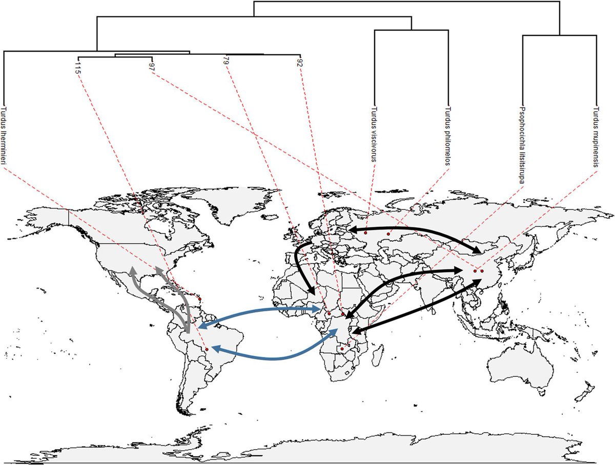 Open PhD position on the evolution of migration & biogeography of birds at the University Debrecen, Hungay. Application deadline is 29 October 2023. Details at: cutt.ly/5wcvp6so #ornithology