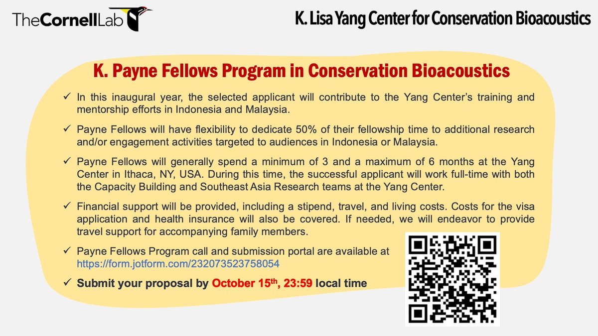 📣 Attention aspiring conservationists! The K. Payne Fellows Program at <a href="/CornellSounds/">Yang Center for Conservation Bioacoustics</a> is now OPEN. 🌳🐦

🌏 Focused on Conservation Bioacoustics in Indonesia &amp; Malaysia. 📝 Apply now to make an impact!
🔗 More info: [tinyurl.com/kpaynefp]

#Bioacoustics #Fellowship